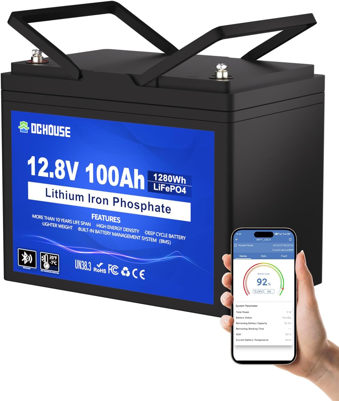 Batterie a ciclo profondo, 100 Ah, protezione a bassa temperatura, marina, barca, solare, Batteria al litio LiFePO4 da 12 V, DCHOUSE 12V100AH